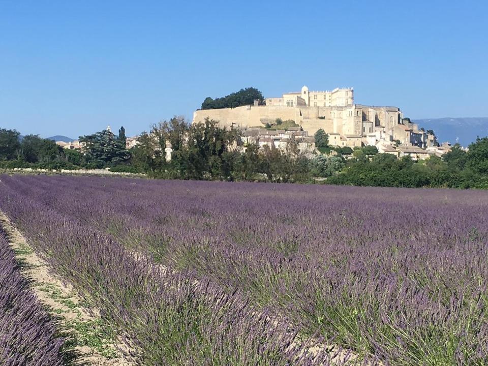 Le Mas Du Pigeonnier Réauville Exteriör bild